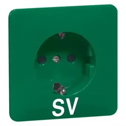 Peha Steckdose D 80.6611 SI GRÜN SV