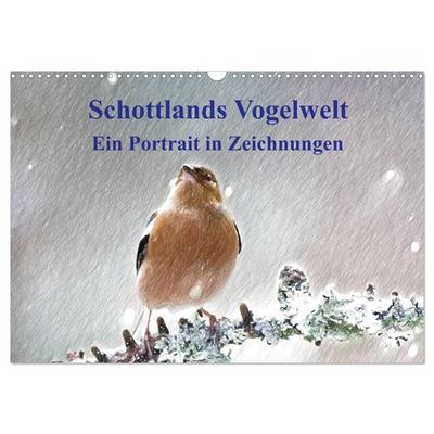 Schottlands Vogelwelt - Ein Porträt in Zeichnungen (Wandkalender 2027 DIN A3 quer), CALVENDO Monatskalender