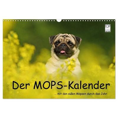 Der MOPS-Kalender (Wandkalender 2027 DIN A3 quer), CALVENDO Monatskalender