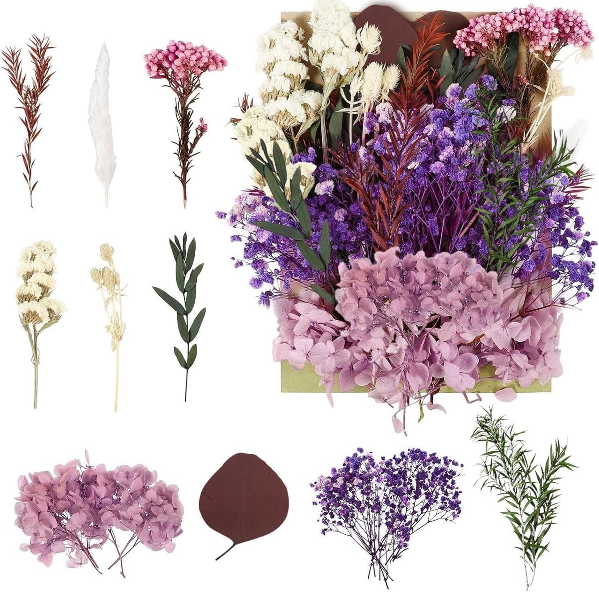 Gedroogde Bloemen voor Creatieve Projecten - Paarse Gedroogde Bloemen voor DIY Kunst, Hars, Scrapbooking en Decoratie
