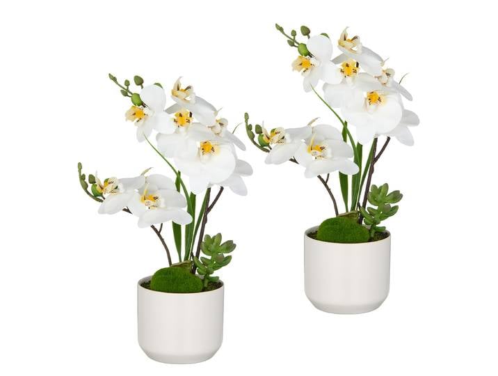 Phalaenopsis artificiel type C 20 x 30 x 10cm Blanc