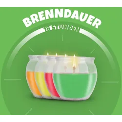HS Candle Duftkerzen Selection 12er Pack Fruit Selection