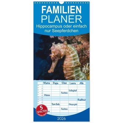 Familienplaner 2026 - Hippocampus oder einfach nur Seepferdchen mit 5 Spalten (Wandkalender, 21 x 45 cm) CALVENDO