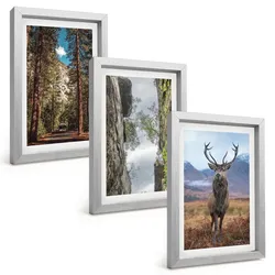 BILDER SET 3er Set - 20x30 cm Silberner Rahmen - Straße Wald Berge Hirsch Natur