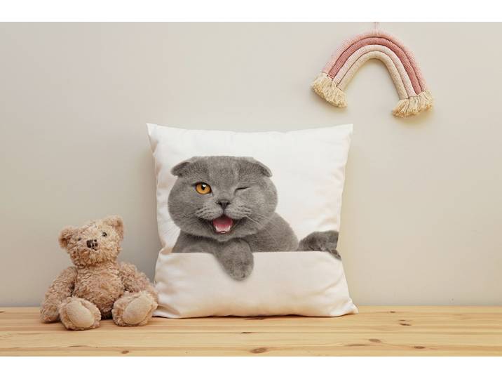 Dekokissen QUEENCE Britisch Kurzhaar , weiss (weiß, bedruckt), B:40cm H:1cm L:40cm, Polyester, Dekokissen_Sitzkissen_Kissenhüllen, Dekokissen, Kissenhülle mit HD Premium Druck, geruchsneutral, 40x40cm