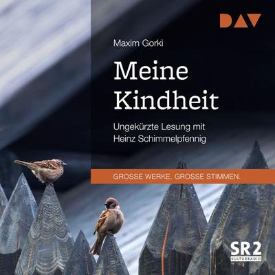 Meine Kindheit - Maxim Gorki, Audio, 9783742423542