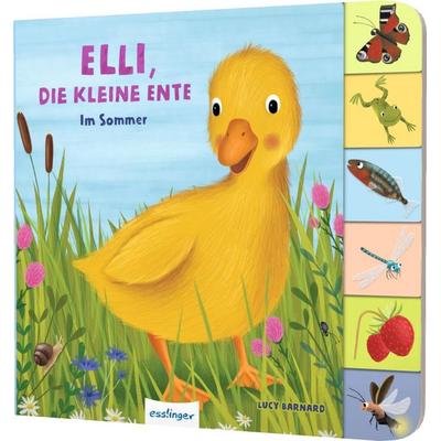 Mein erstes Jahreszeitenbuch: Elli, die kleine Ente, Gebundene Ausgabe von Anja Kiel, Esslinger in der Thienemann-Esslinger Verlag GmbH,