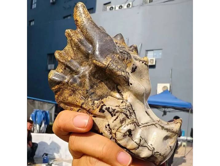 Pierre de peinture chinoise naturelle, tête de Dragon, pierre d'image en cristal de Quartz, poli, os de tête de Dragon, guérison minérale