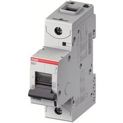 ABB 2CCS891001R0065 S801N-B6 Sicherung 1polig