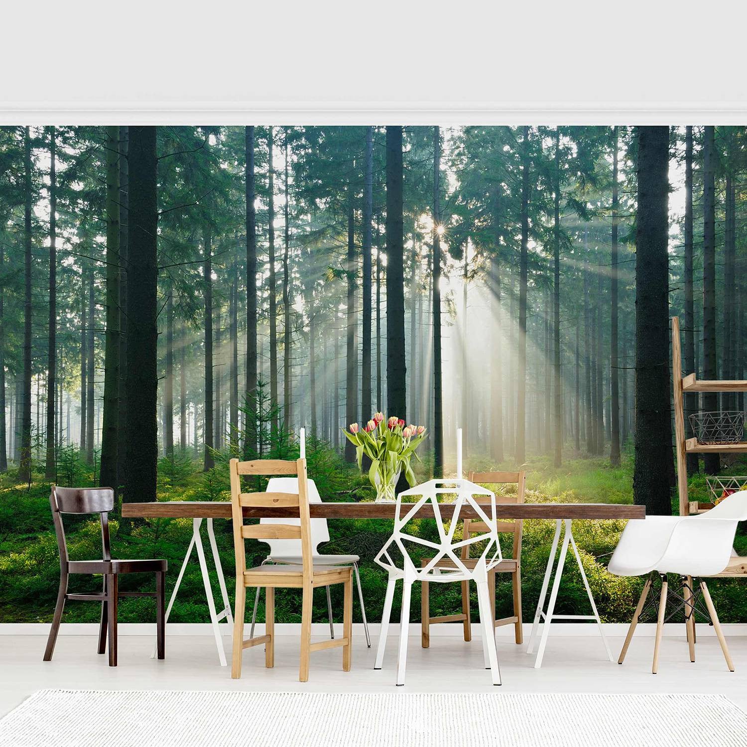 home24 Vliesbehang Enlightened Forest Groen B: 432 cm, H: 290 cm