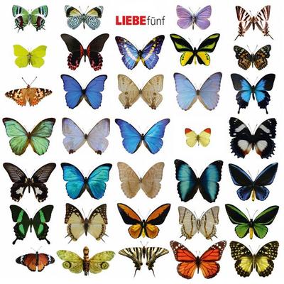 Liebe fünf - Hagen Rether, Audio, 4251489300501