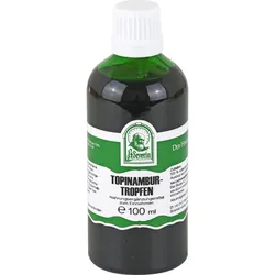 Topinambur Gph Tropfen 100 ML