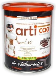 Pinisan Articao Sabor Chocolate Sem Glúten 300g