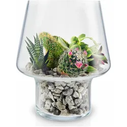 Eva Solo, Vase, Sukkulenten-Glasvase Ø15cm (1x)