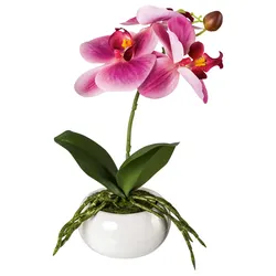Kunstpflanze Orchideen Dunkelrosa/Grün