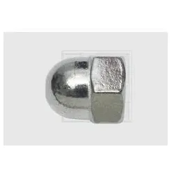 SWG, Muttern + Unterlegscheiben, 3481067 Hutmutter M10 DIN 1587 Edelstahl A2 25 St. (M10)