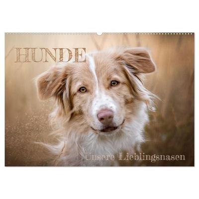 Hunde - Unsere Lieblingsnasen (Wandkalender 2027 DIN A2 quer), CALVENDO Monatskalender