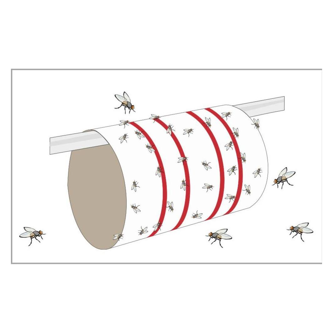 Redtop Fliegenfalle Fliegenbogen 3109 (31091)