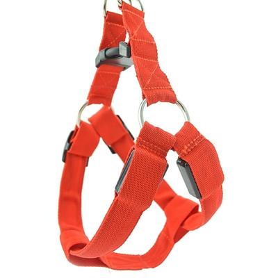 Hund Geschirre LED-Lampen Sicherheit Einfarbig