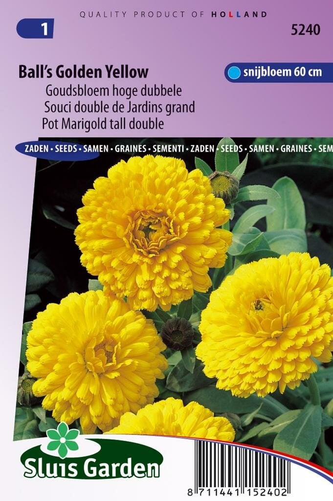 Sluis Garden Calendula Officinalis zaden - Gele goudsbloem
