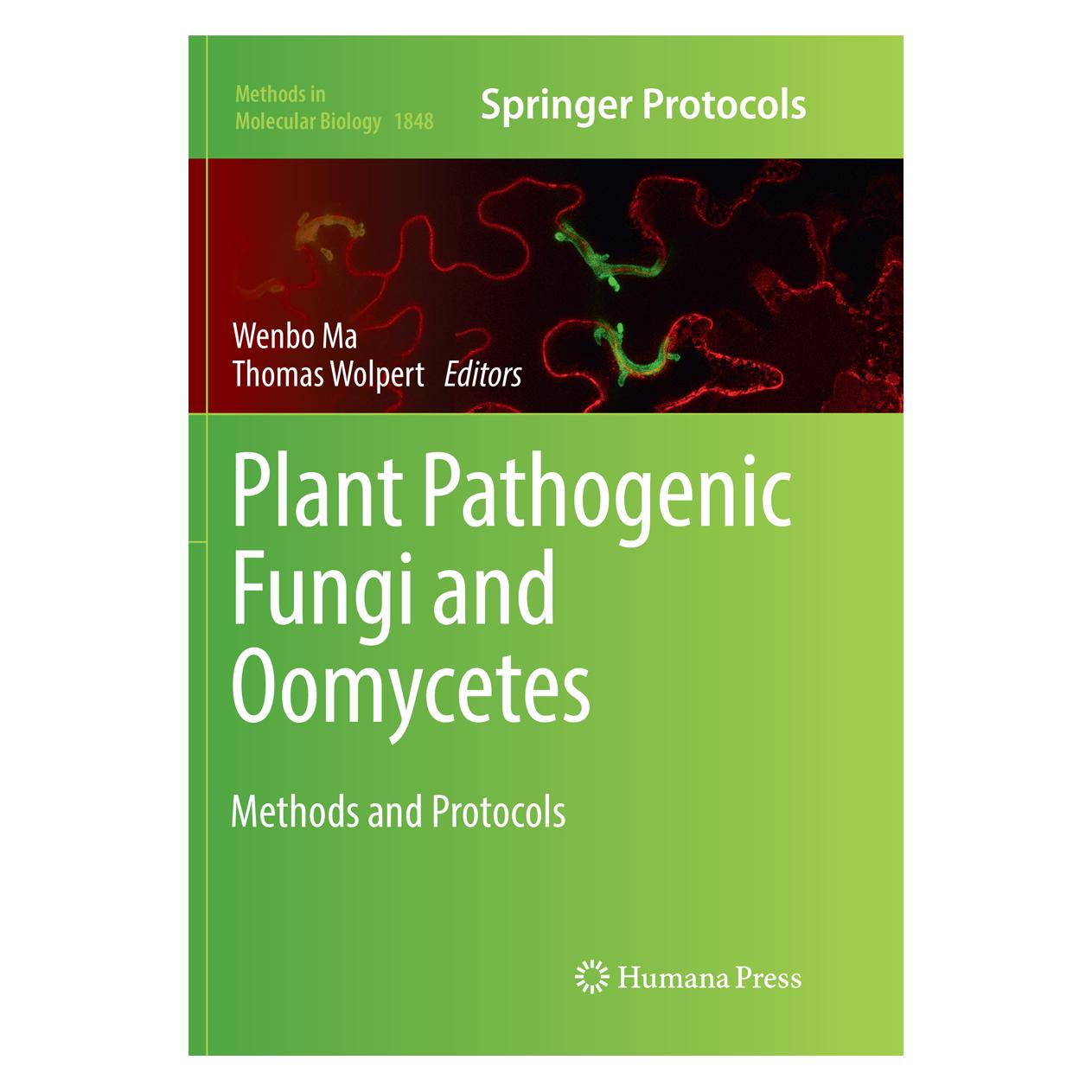 Springer Plant Pathogenic Fungi and Oomycetes (Englisch, Softcover, Thomas Wolpert, Wenbo Ma) (56097337)