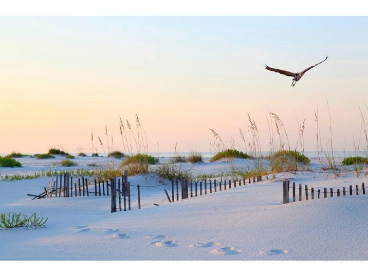 Fototapete PAPERMOON Weißer Sand Florida Beach , bunt, B:3m L:2,23m, Vlies, Tapeten, Fototapete