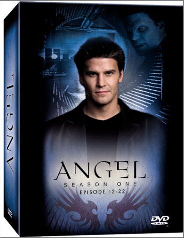 Joss Whedon - Angel - Jäger der Finsternis: Season 1.2 Collection (Episoden 12-22) [Box Set] [3 DVDs] - Preis vom 12.10.2026 11:37:12 h