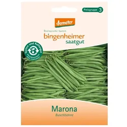 Buschbohne - Marona