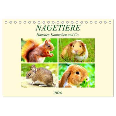 Nagetiere. Hamster, Kaninchen und Co. (Tischkalender 2026 DIN A5 quer), CALVENDO Monatskalender