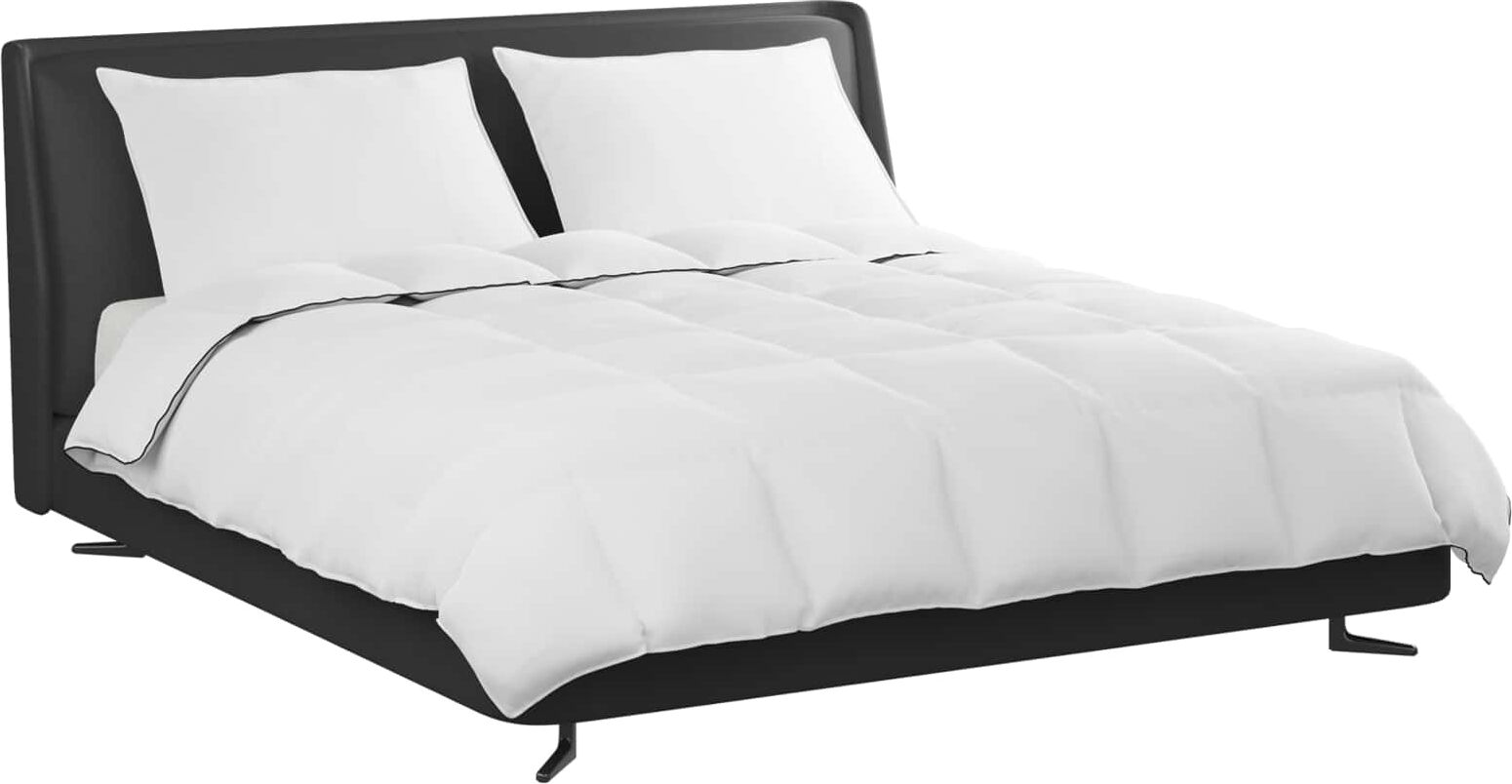 vidaXL Duvet d'hiver avec oreiller 3 pièces Blanc Down Feather