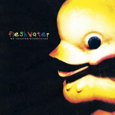 Were Not Here To Be Loved - Fleshwater, Vinyl
