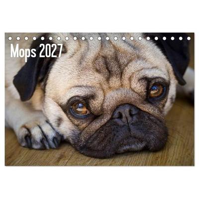 Mops 2027 (Tischkalender 2027 DIN A5 quer), CALVENDO Monatskalender