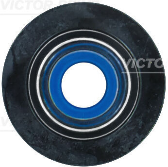 Victor Reinz 702414900