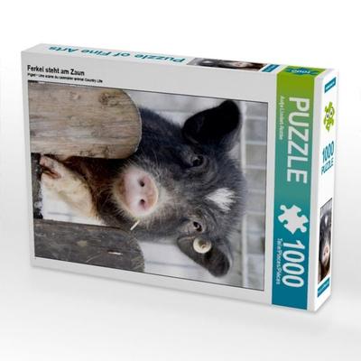 CALVENDO Puzzle Ferkel steht am Zaun | 1000 Teile Lege-Größe 64x48cm Foto-Puzzle für glückliche Stunden