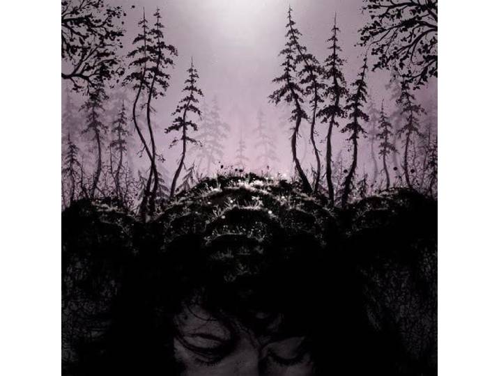 Birds Of Passage - This Kindly Slumber