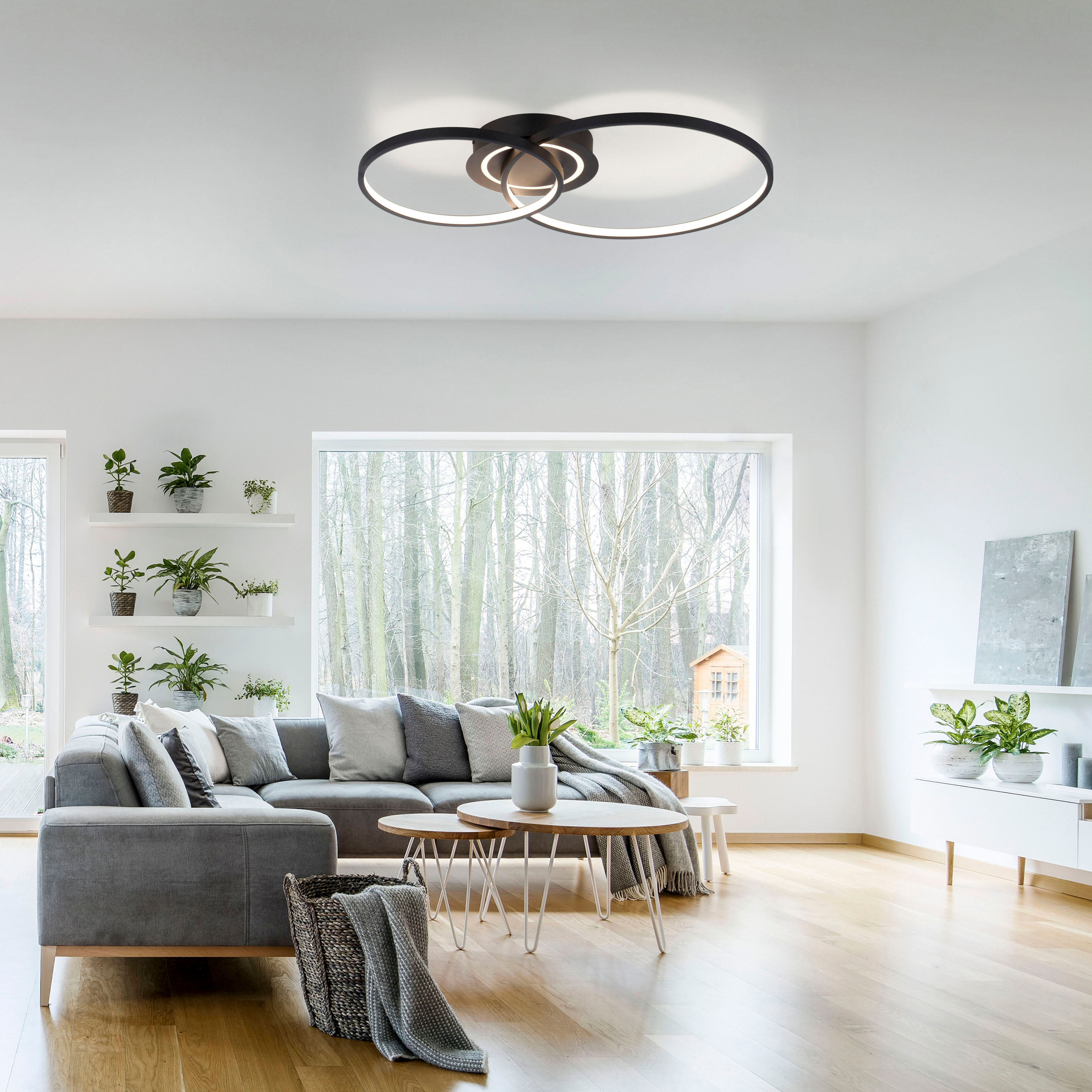 JUST LIGHT LED Deckenleuchte "ASMINA", schwarz, 2, 1 Stk., Leuchten, LED Deckenleuchte