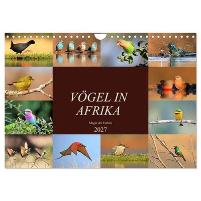 Vögel in Afrika - Magie der Farben (Wandkalender 2027 DIN A4 quer), CALVENDO Monatskalender