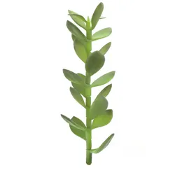 EUROPALMS Geldbäumchen-Spross, Kunstpflanze, 30cm