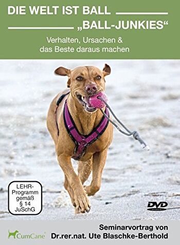 Ute Blaschke-Berthold - Die Welt ist Ball - Ball Junkies [2 DVDs] - Preis vom 11.10.2026 03:10:56 h