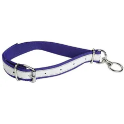 Kamer Rinderhalsband aus Nylon, Halsband + Leine