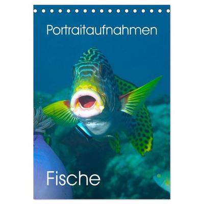 Portraitaufnahmen - Fische (Tischkalender 2027 DIN A5 hoch), CALVENDO Monatskalender