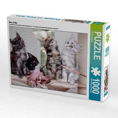 CALVENDO Puzzle New Kitts | 1000 Teile Lege-Größe 64x48cm Foto-Puzzle für glückliche Stunden
