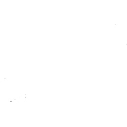 Hansa Auslauf 59914679 59914679