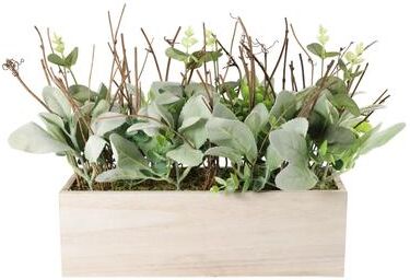 Puleo International "11"" Lambs Ear Centerpiece with Twigs & Greenery Leaves in Wood Planter"