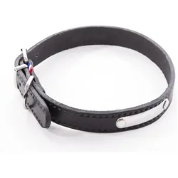 Martin Sellier Rive (Hund, Spazieren), Halsband + Leine