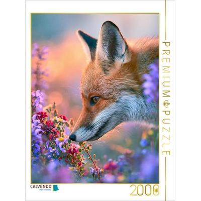 CALVENDO Puzzle Ein Motiv aus dem Kalender Fuchszauber | 2000 Teile Lege-Größe 90x67cm Foto-Puzzle für glückliche Stunden, von , Calvendo Puzzle
