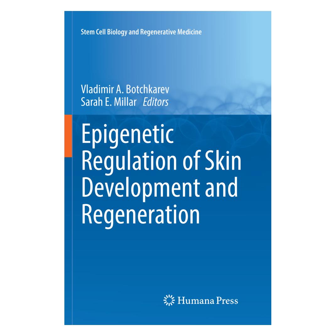 Springer Epigenetic Regulation of Skin Development and Regeneration (Englisch, Softcover, Sarah E. Millar, Vladimir A. Botchkarev) (56101965)