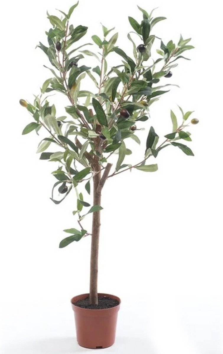 Bellatio Kunstplant Groene Olijfboom met Pot, Hoogte: 65 cm