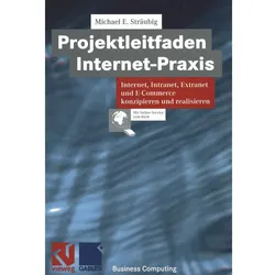 Projektleitfaden Internet-Praxis, Fachbücher von Michael Sträubig