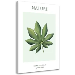 WANDBILD grünes blatt natur